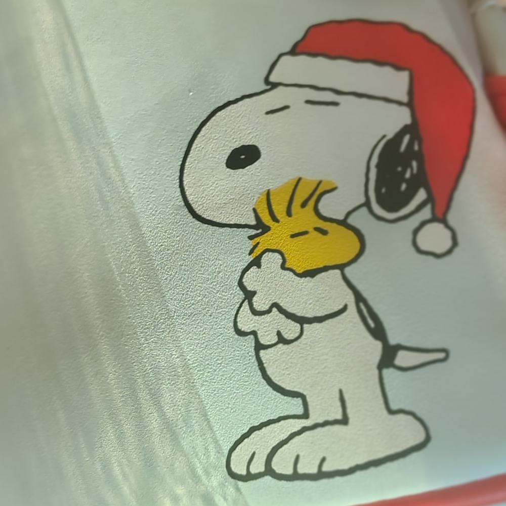 Peanuts Red and White Backpack NWT - image 10